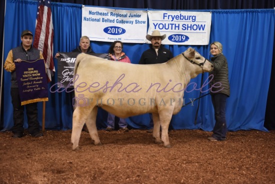 Jackpot Heifer- Backdrops