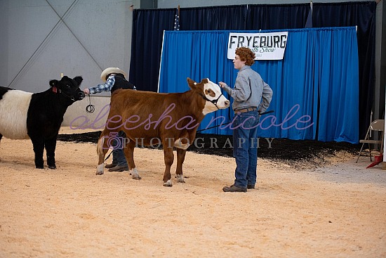 Jackpot Steer Ring Shots