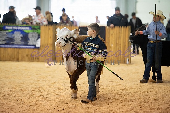 Youth Steer Ring Shots