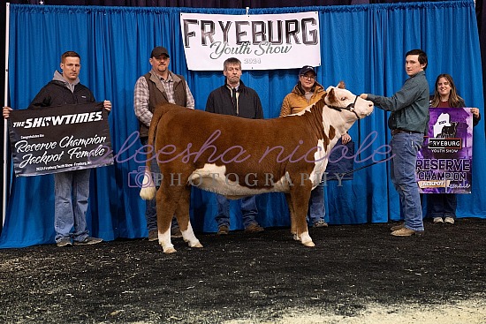 Jackpot Heifer Backdrops