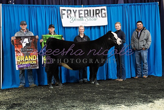 Youth Heifer Backdrops