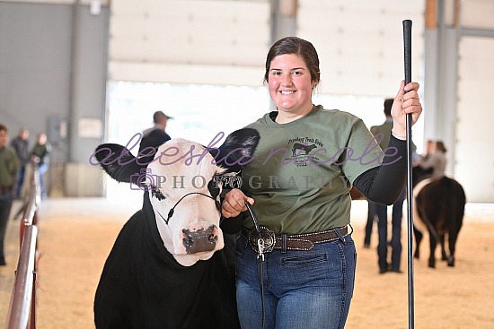 Showmanship Ring Shots