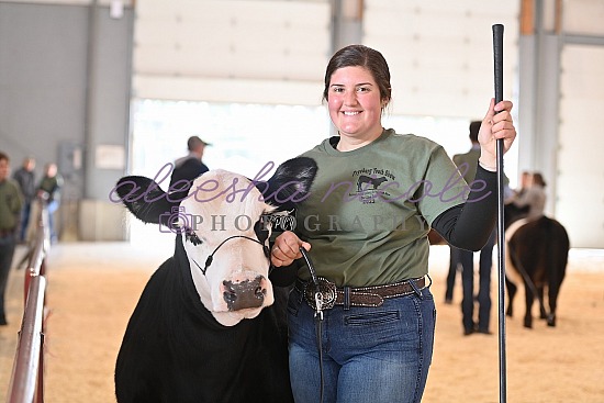 Showmanship Ring Shots