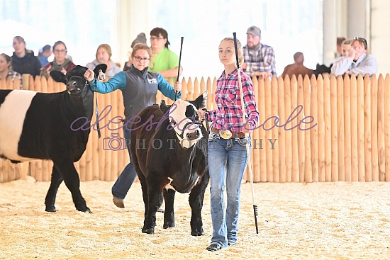 Jackpot Steer Ring Shots