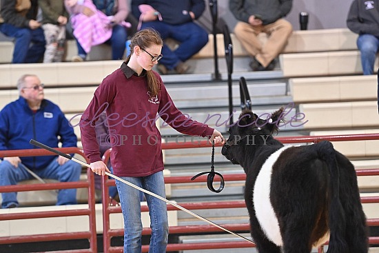 Youth Steer Ring Shots