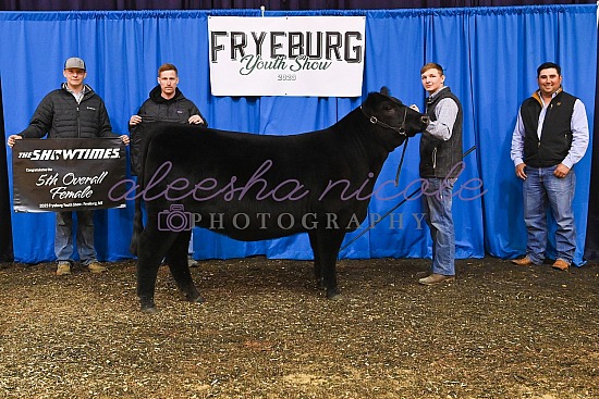 Jackpot Heifer Backdrops