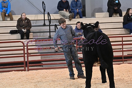 Jackpot Heifer Ring Shots