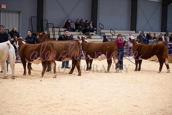 Jackpot Showmanship