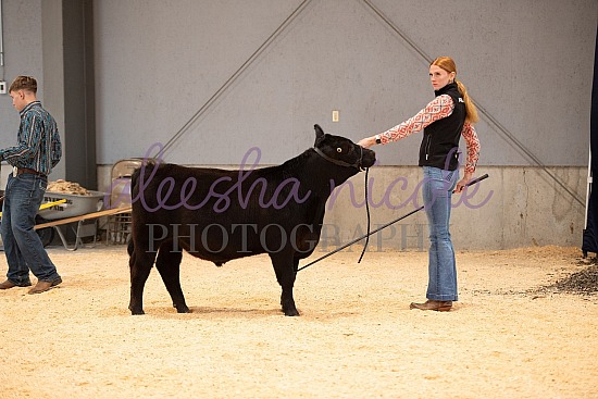 Youth Steer Ring Shots