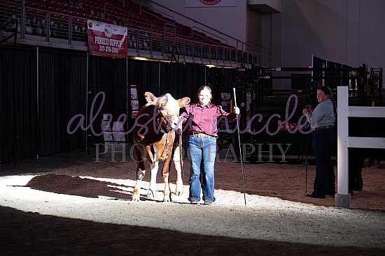 Market Steer Ringshots