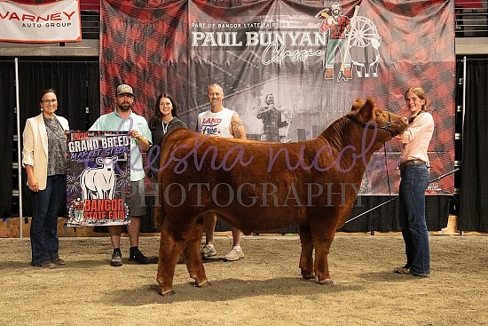 Youth Beef Backdrops