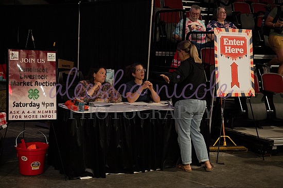 4-H Auction